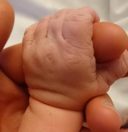 Baby-hand